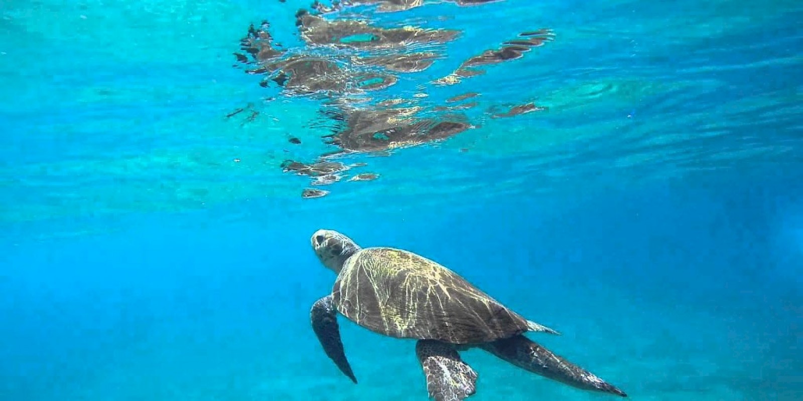 Fidelity Travel Book Now