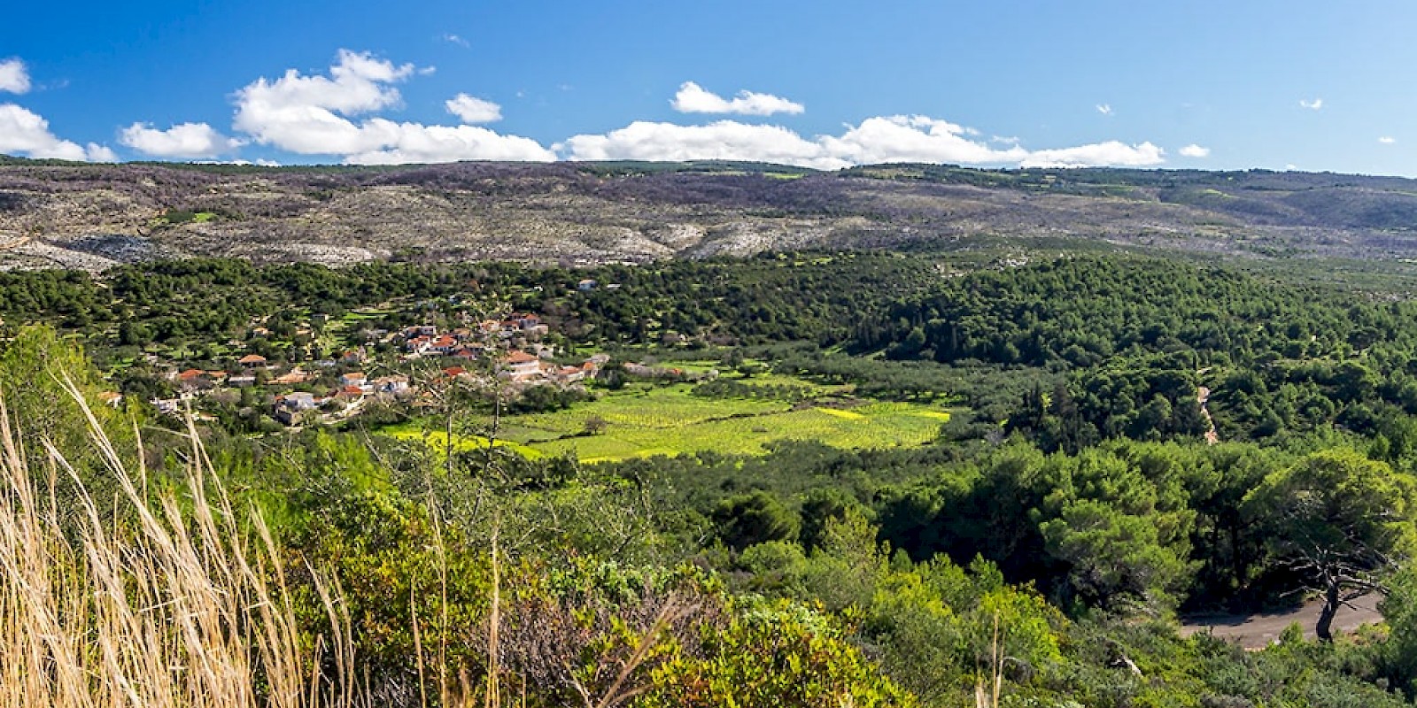 Fidelity Travel Book Now