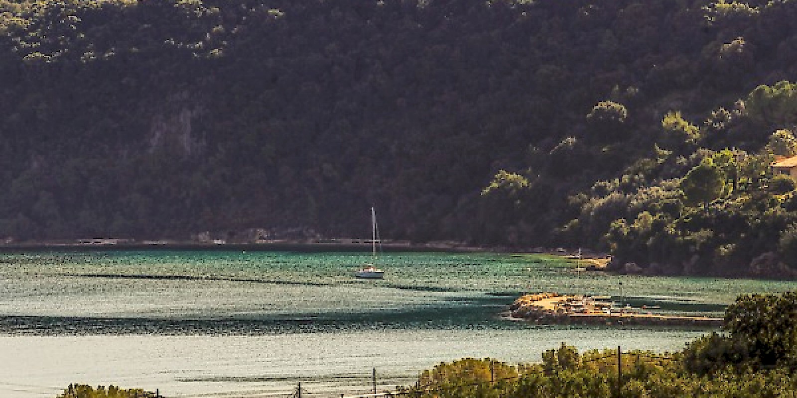 Fidelity Travel Book Now