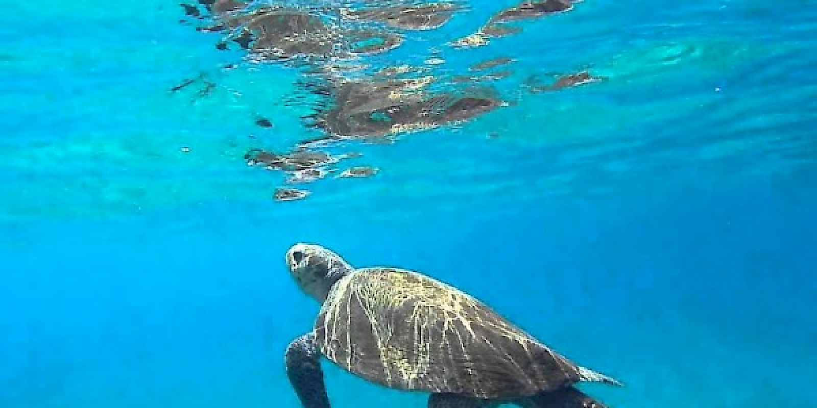 Fidelity Travel Book Now