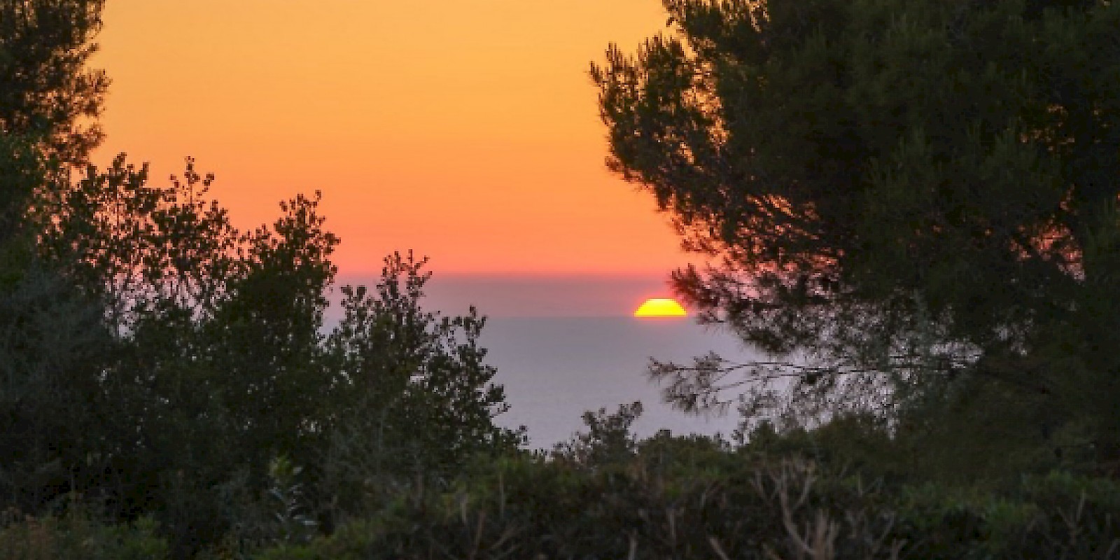 Fidelity Travel Book Now