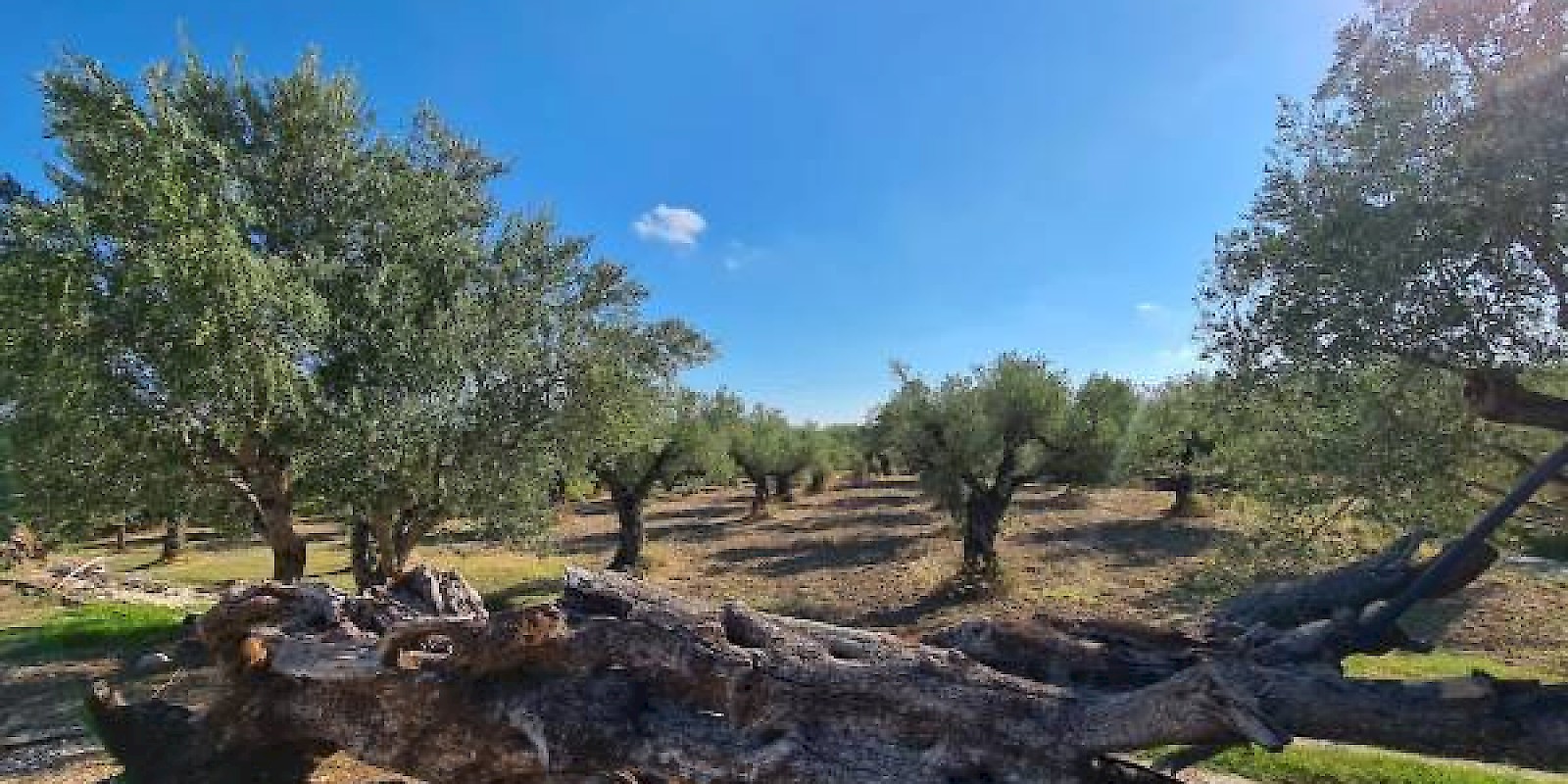 Fidelity Travel Book Now