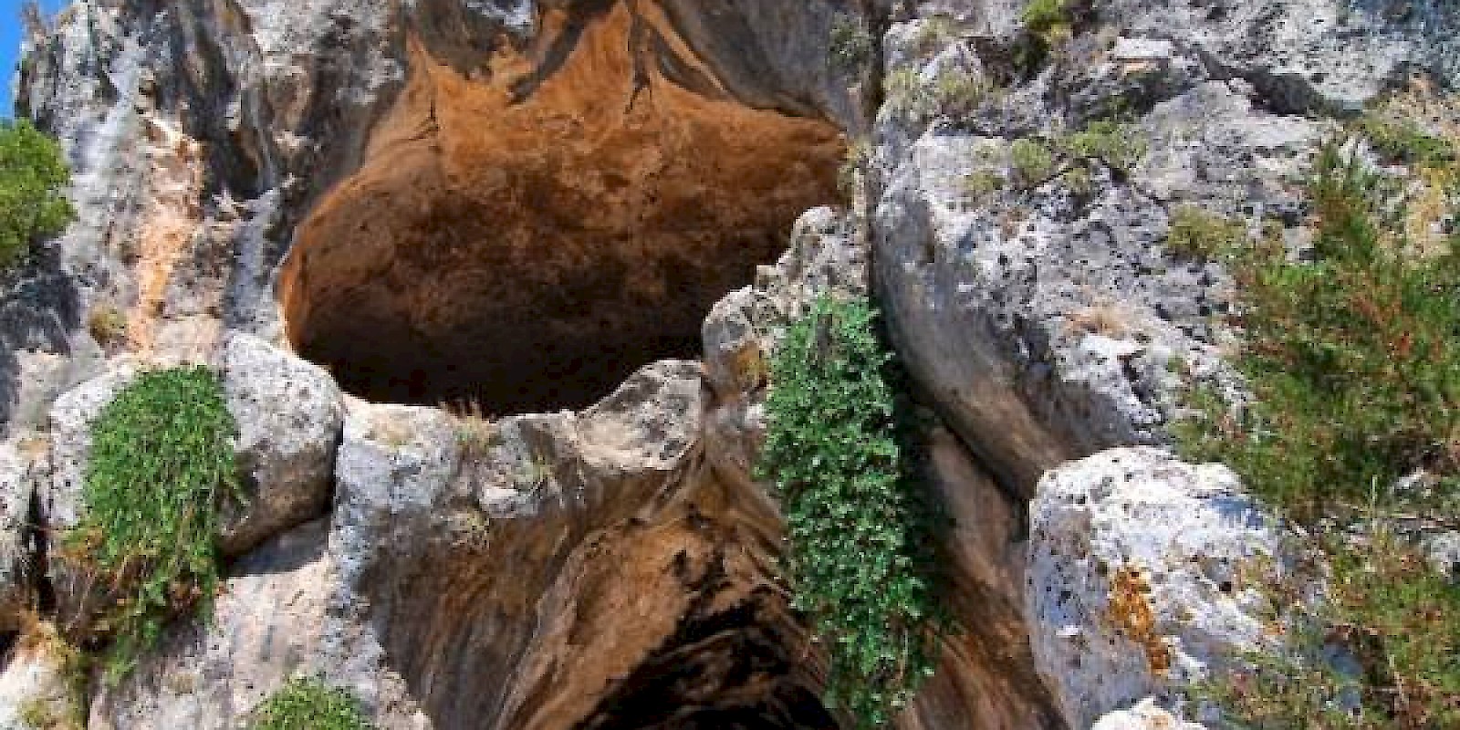 Fidelity Travel Book Now