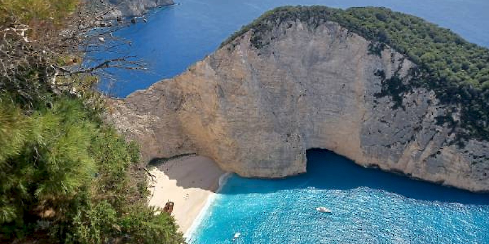 Fidelity Travel Book Now