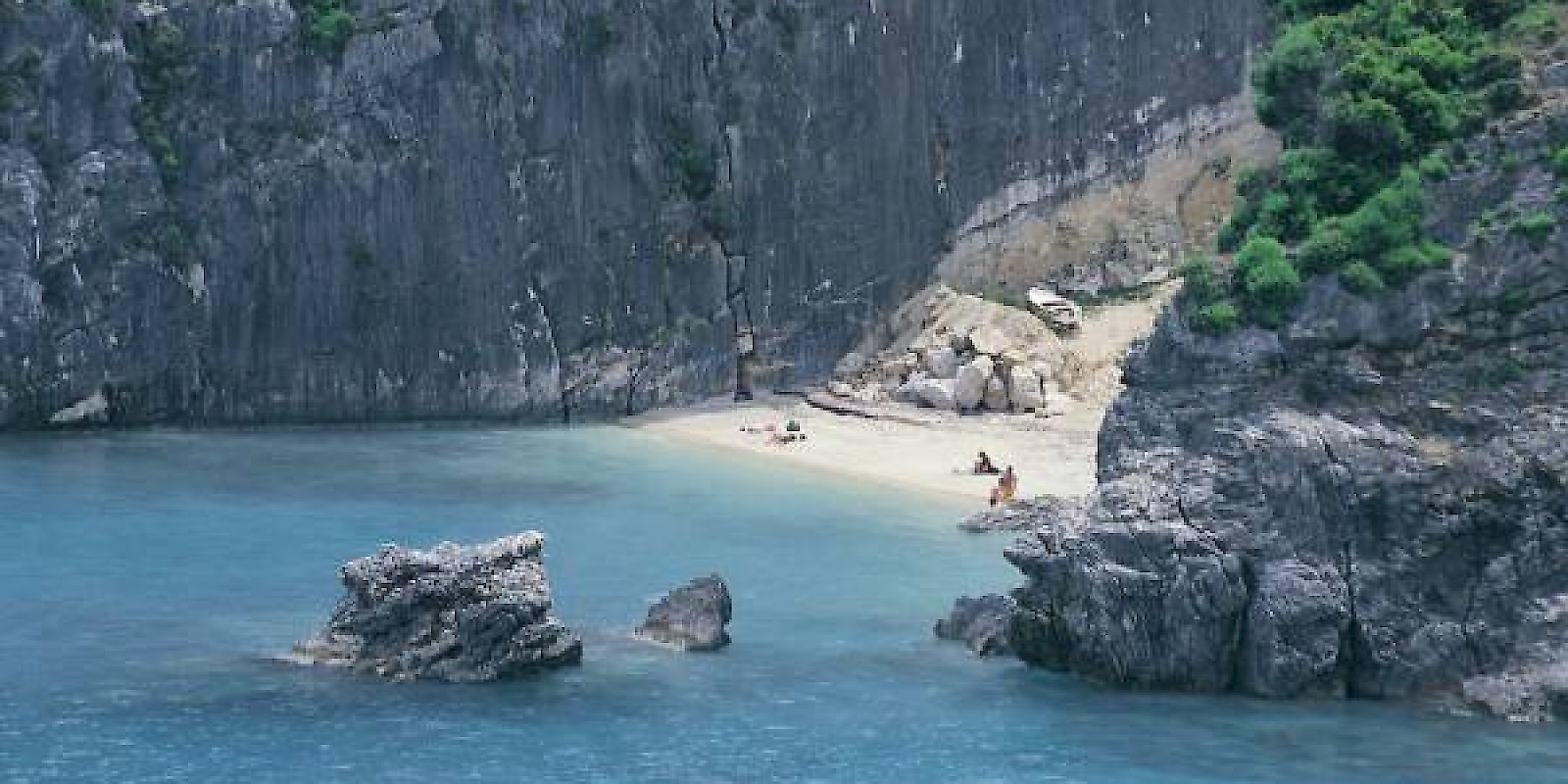 Fidelity Travel Book Now